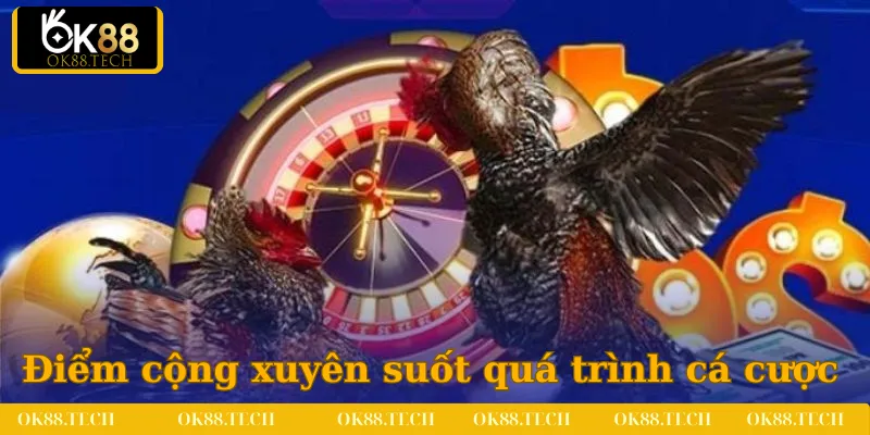 Điểm cộng được hội viên nhận xét xuyên suốt quá trình cá cược