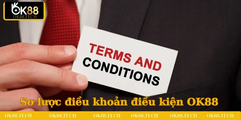 Tìm hiểu sơ lược về chính sách điều khoản điều kiện OK88