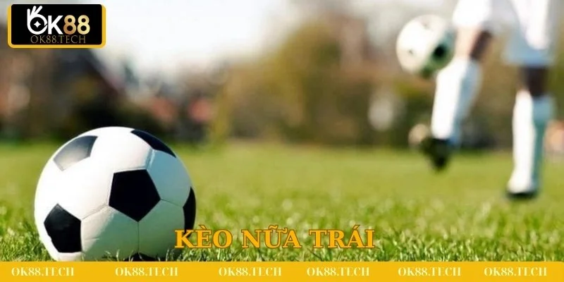 Kèo châu á nửa trái tại OK88