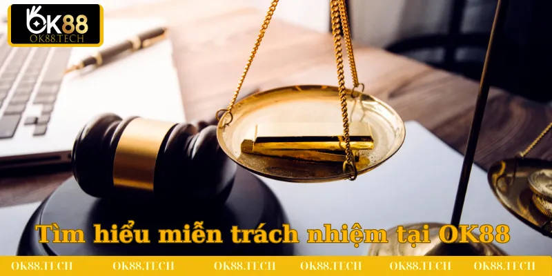 Tìm hiểu đôi nét về quy định miễn trách nhiệm tại OK88