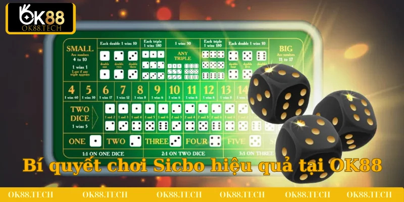 Có rất nhiều bí quyết chơi Sicbo hiệu quả tại OK88
