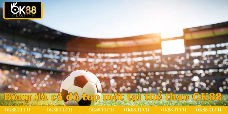 Thể Thao OK88 3 Bóng đá là bộ môn cá độ top một tại thể thao OK88