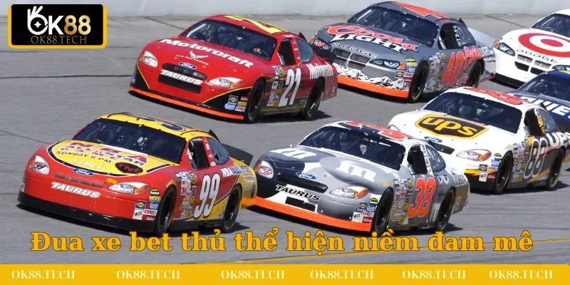 Thể Thao OK88 4 Loại hình đua xe nơi các bet thủ thể hiện niềm đam mê