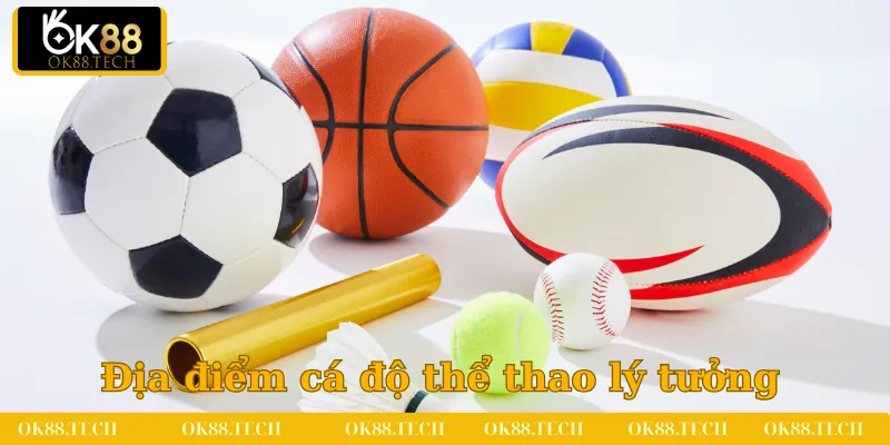 Thể Thao OK88 1 Địa điểm cá độ thể thao lý tưởng